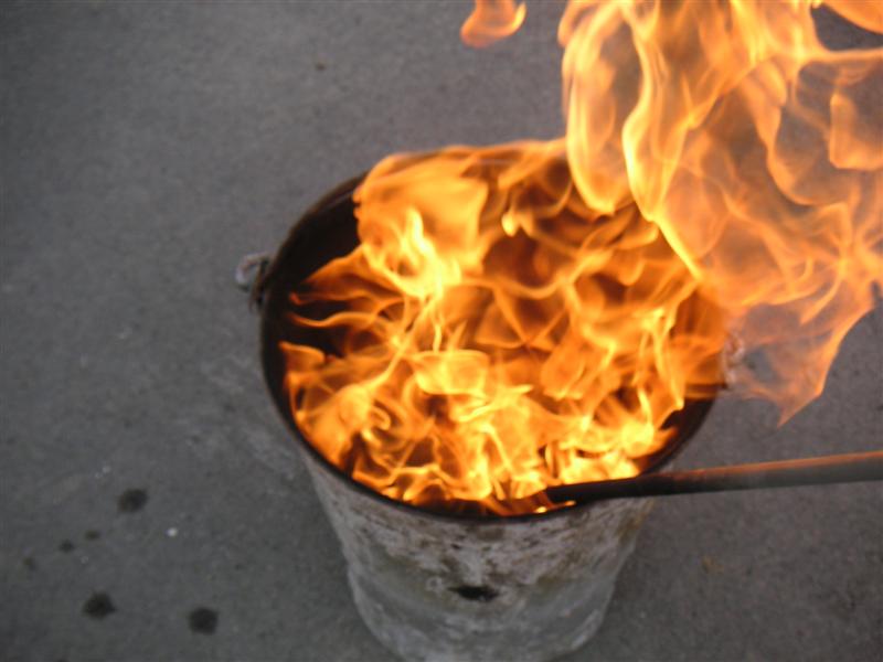 PICT1472 (Medium).JPG