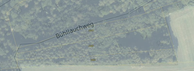 Flurstücke mit Bühllauchweg_detail.png
