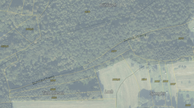 Flurstücke mit Bühllauchweg_1.png