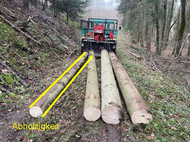 LT_4_Abholzigkeit.jpg