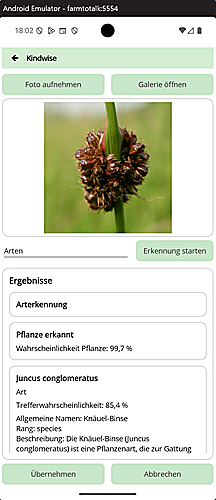 oer5_einzeln_max500_3.png
