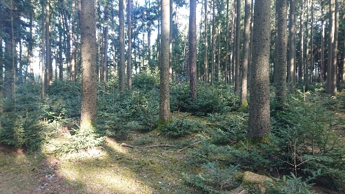 Resize_20260506_201230_0693.jpg