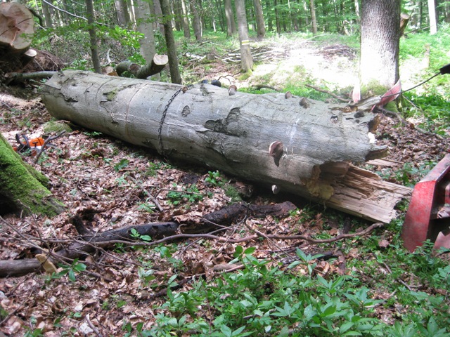 mit umlenkrolle dann doch noch  geschafft.jpg