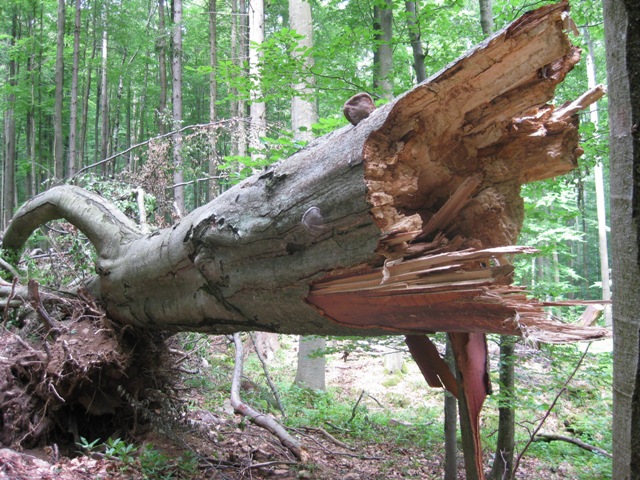 das ganze in 1,80 höhe, was nun.jpg