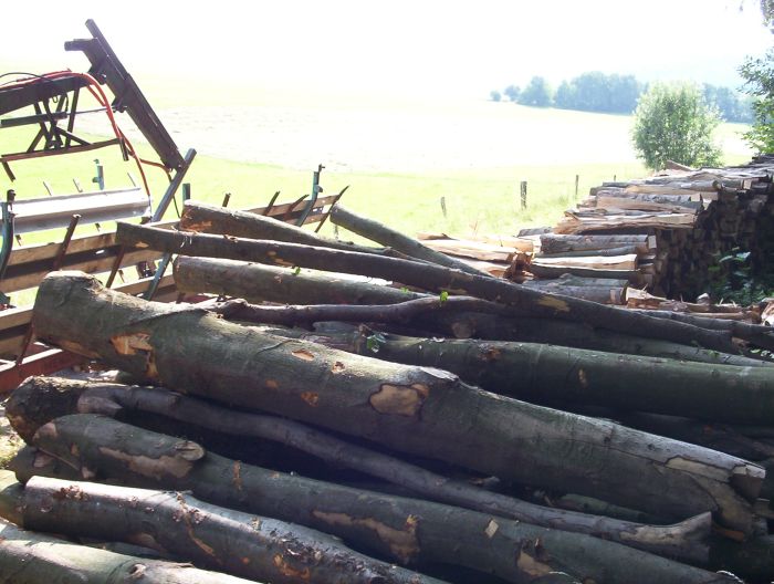 eine fuhre 1 008.jpg