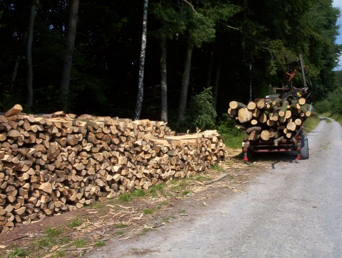 eine fuhre 1 006.jpg