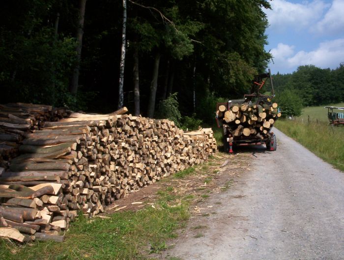 eine fuhre 1 005.jpg