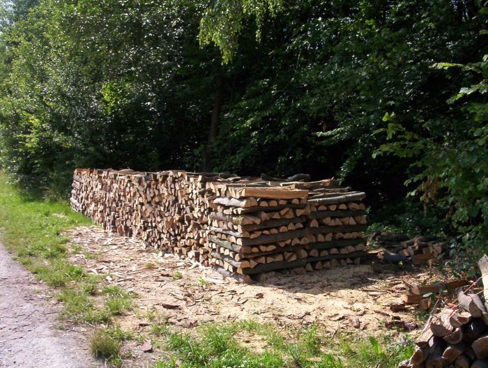 eine fuhre 1 004.jpg