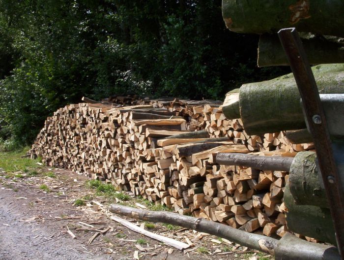 eine fuhre 1 003.jpg