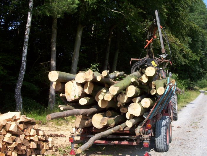 eine fuhre 1 002.jpg