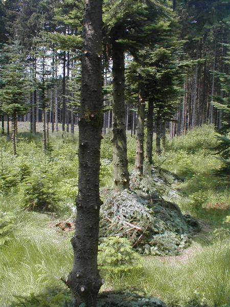 Fehlermeldungen Konica 008 (Medium).jpg