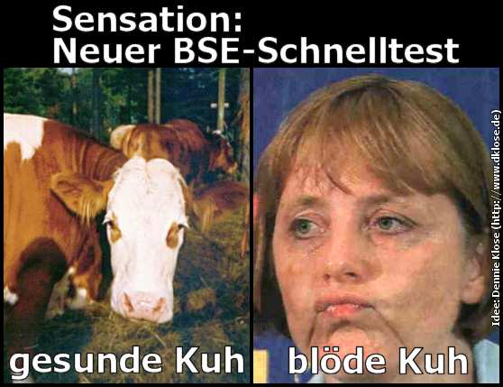 merkel-bse-test.jpg