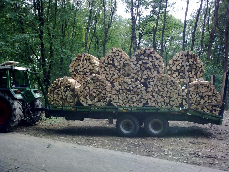 Tieflader.jpg