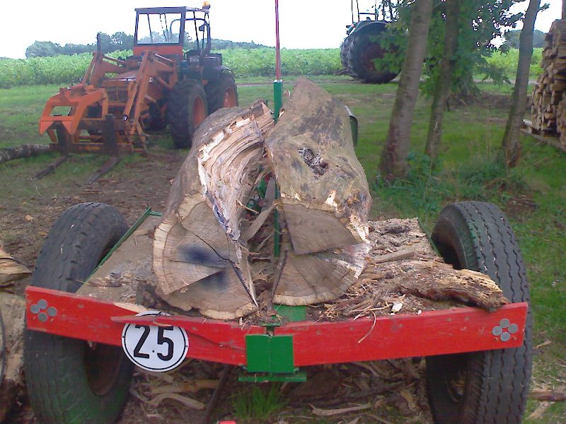 IMG017.jpg