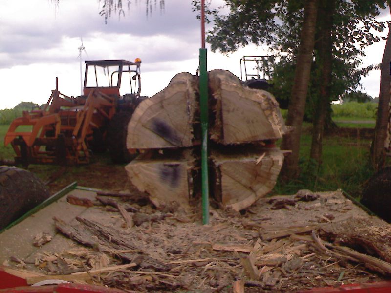IMG016.jpg