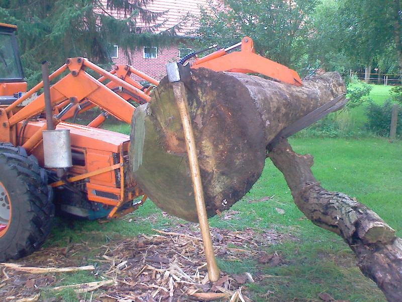 IMG006.jpg