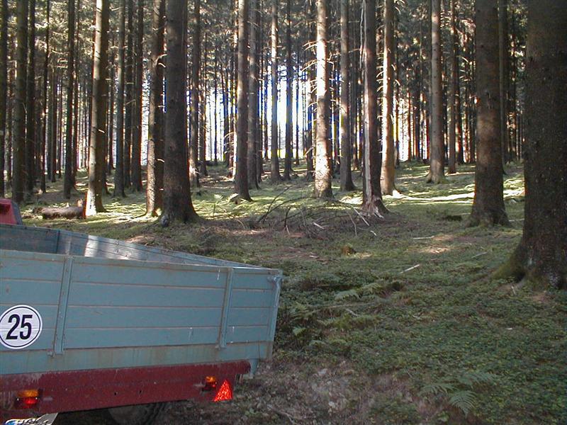 P8050001 (Medium).JPG