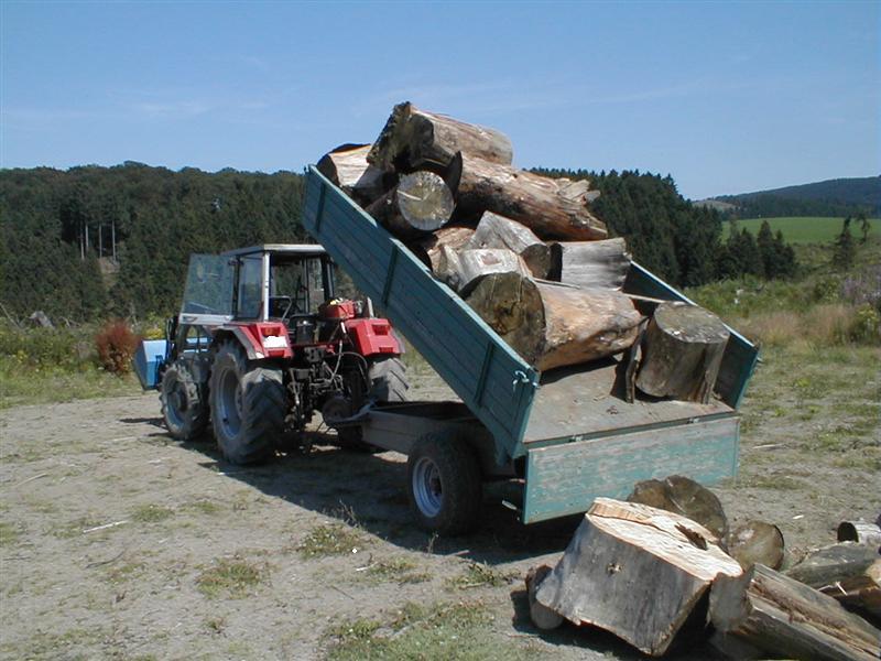 P8050010 (Medium).JPG