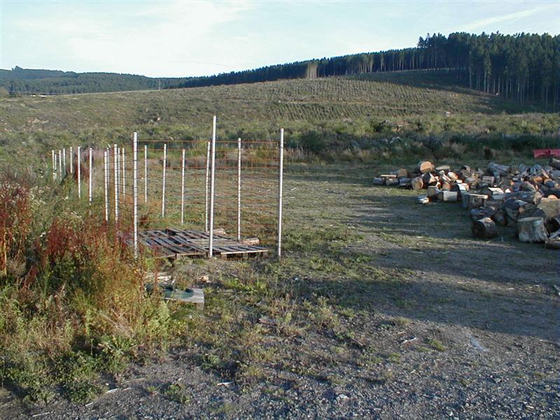 P9070013 (Medium).JPG