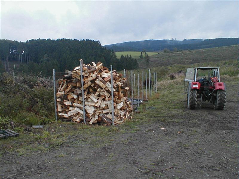 P9140005 (Medium).JPG