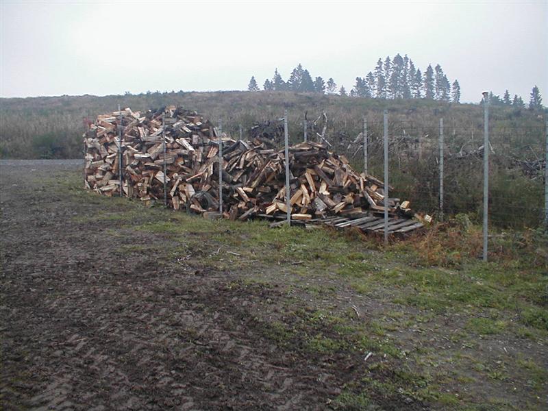 P9150013 (Medium).JPG