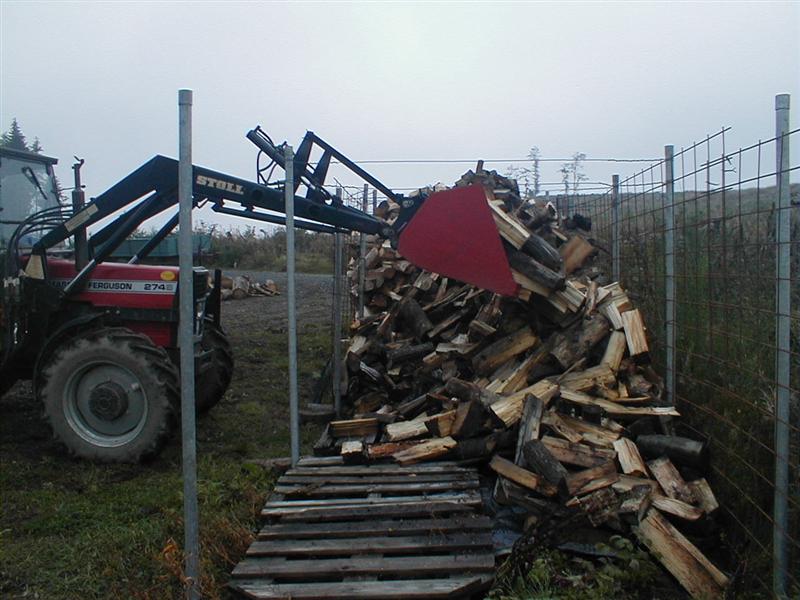 P9150010 (Medium).JPG