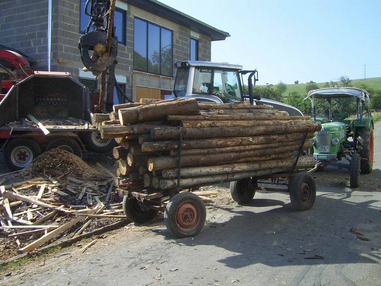 Resize of SV105592.JPG