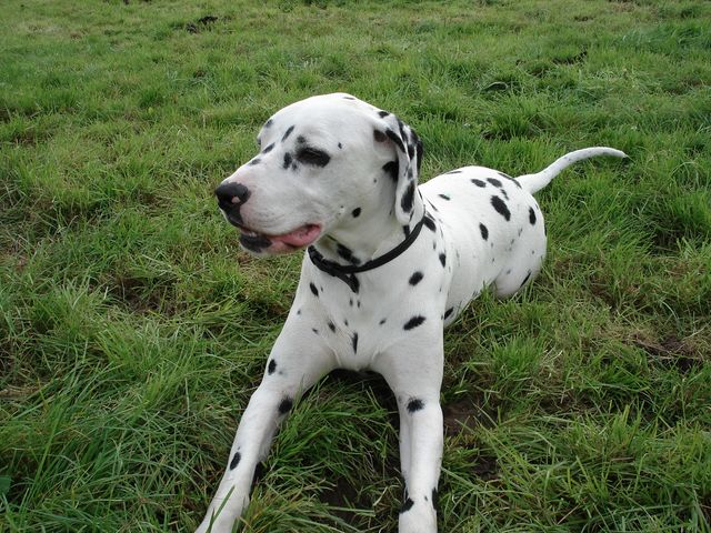 DSC00566 [640x480].JPG