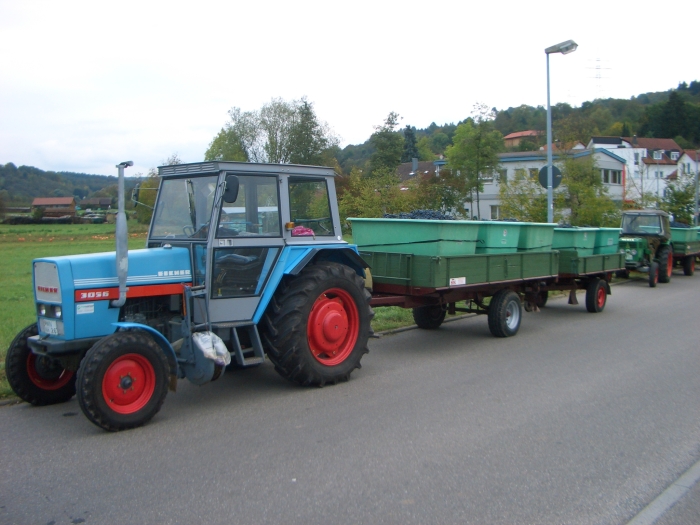 lemberger.jpg