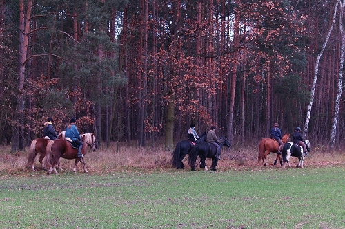 ausritt.jpg
