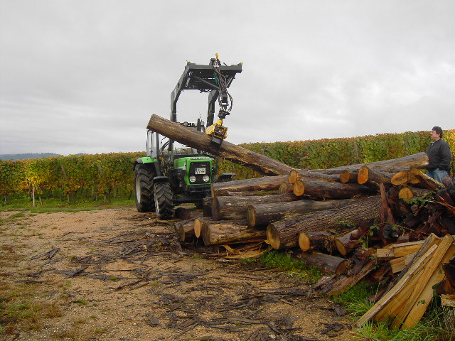 Erster Einsatz Holzgreifer 22.10.09 004.jpg