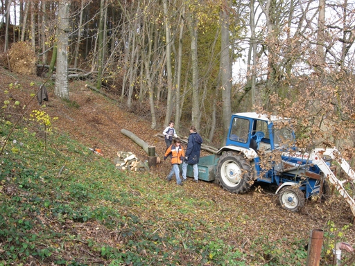 Holzen 15.11.2009 012.jpg