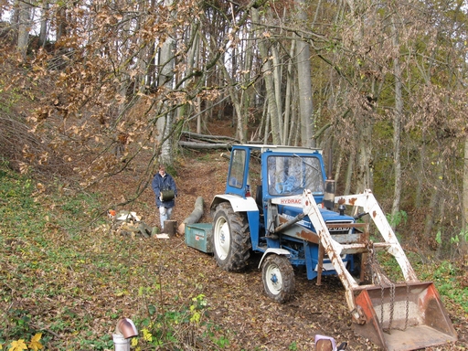 Holzen 15.11.2009 011.jpg