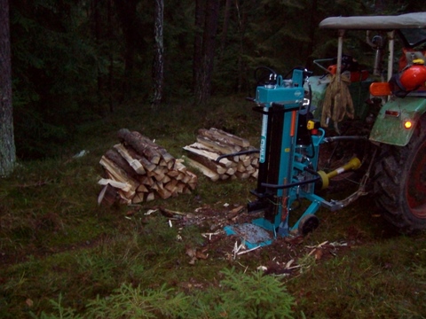 kuzr mal ne Kiefer 002.JPG