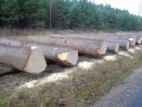 Submission Parkstein 001.JPG