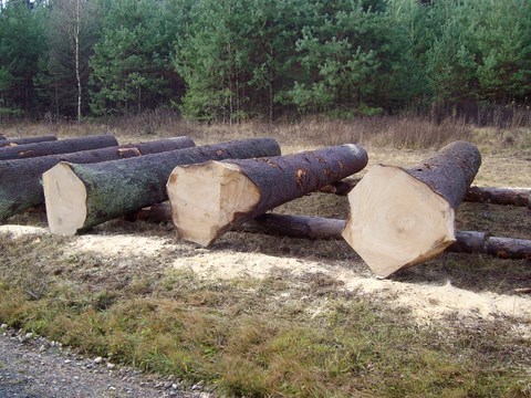 Submission Parkstein 002.JPG