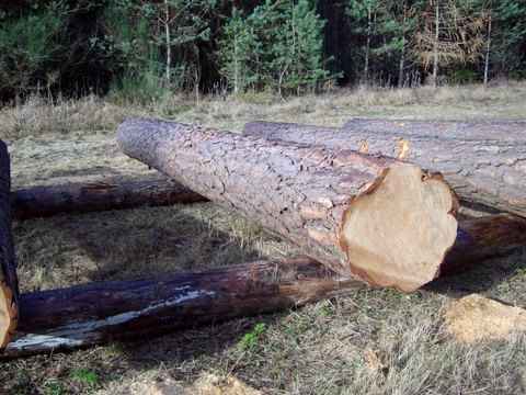 Submission Parkstein 004.JPG