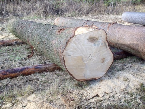 Submission Parkstein 006.JPG