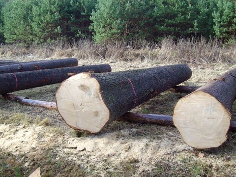 Submission Parkstein 007.JPG