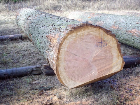 Submission Parkstein 011.JPG