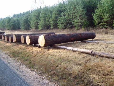 Submission Parkstein 013.JPG