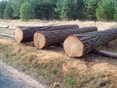 Submission Parkstein 014.JPG