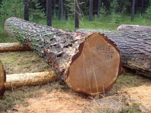 Submission Parkstein 018.JPG