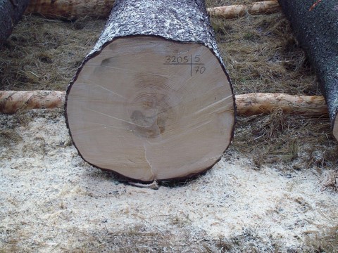 Submission Parkstein 019.JPG