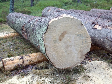 Submission Parkstein 020.JPG