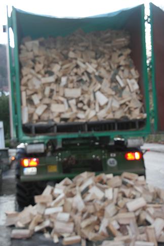 Holzlieferung3.JPG