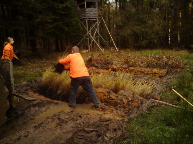2Lärchen im Einschlag.JPG