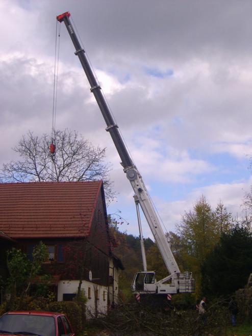 gleich hebt er ab....jpg