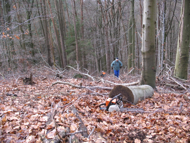 Dezember II 014k.jpg