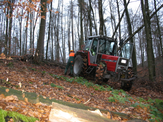 Dezember 09 057k.jpg